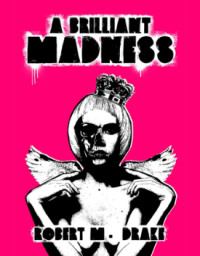 Image of A brilliant madness