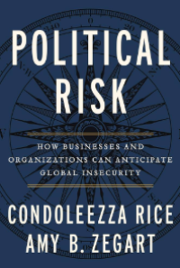 Image of Political Risk